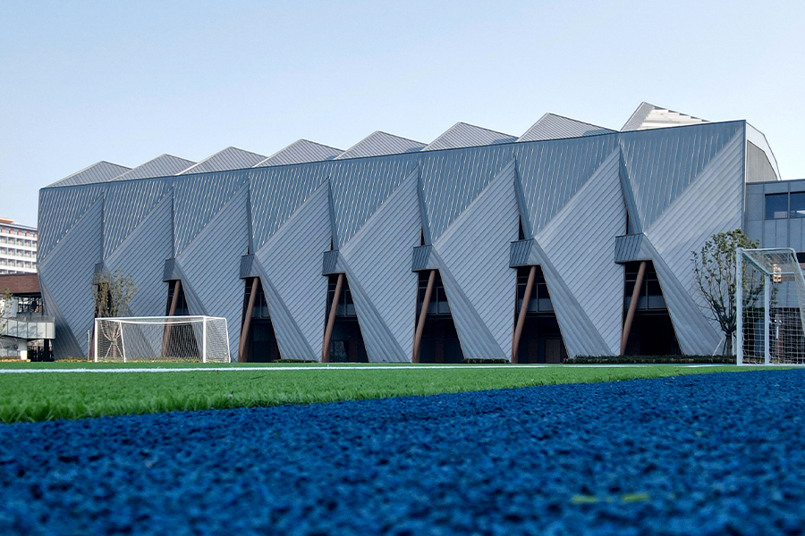 Proyecto de techado del gimnasio del lago Dishui